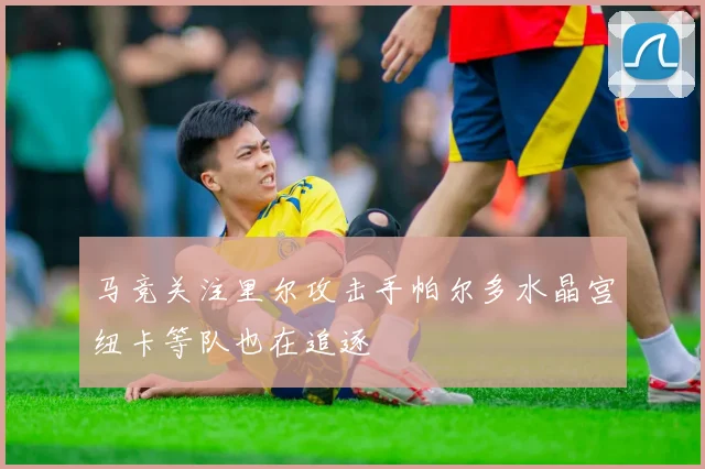 马竞关注里尔攻击手帕尔多水晶宫纽卡等队也在追逐
