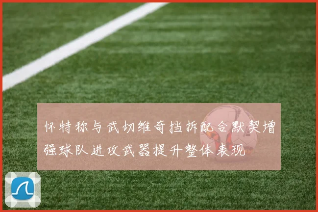 怀特称与武切维奇挡拆配合默契增强球队进攻武器提升整体表现